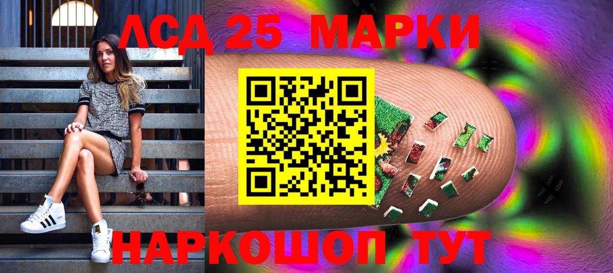 даркнет сайт  Марки 25I-NBOMe 1,5мг  Марки 25I-NBOMe  Вход с VPN  Марки 25I-NBOMe 1,5мг  Вятские Поляны 