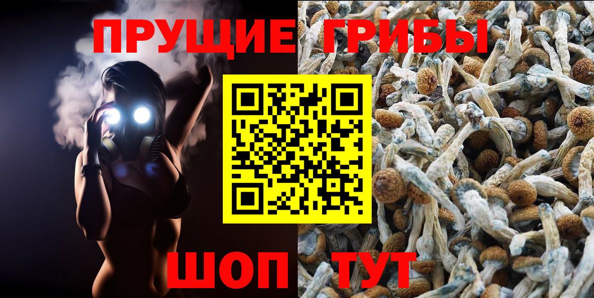 Галлюциногенные грибы MAGIC MUSHROOMS Вятские Поляны