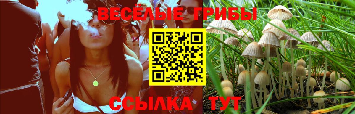 Псилоцибиновые грибы GOLDEN TEACHER Вятские Поляны