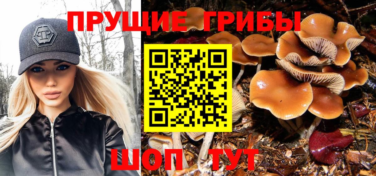 Вятские Поляны  Галлюциногенные грибы мицелий  магазин продажи наркотиков  Псилоцибиновые грибы мухоморы  Вход с VPN 